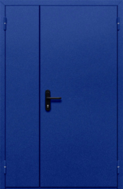 Фото двери «Полуторная глухая (синяя)» в Кубинке