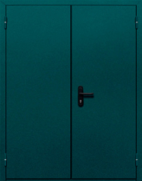 Фото двери «Двупольная глухая №36» в Кубинке