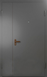 Фото двери «Техническая дверь №6 полуторная» в Кубинке